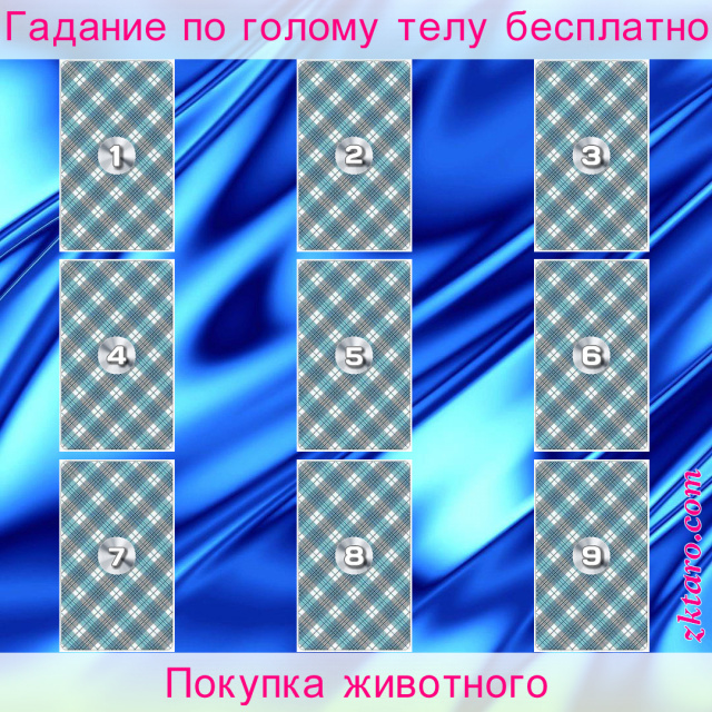 Расклад Таро Покупка животного, собрались, психики, покупкой, удовлетворенность, цены, адекватность